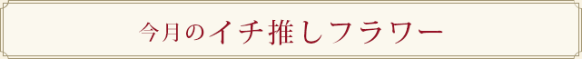 今月のイチ推しフラワー