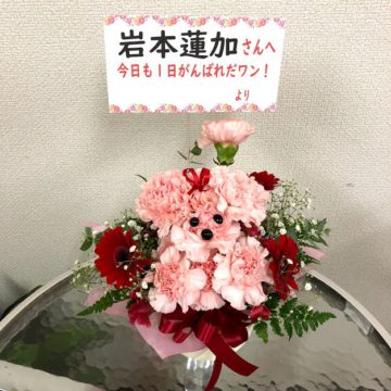 乃木坂４６全国握手会祝い花（フラワーアレンジメント・バルーンフラワーアレンジ・花束）