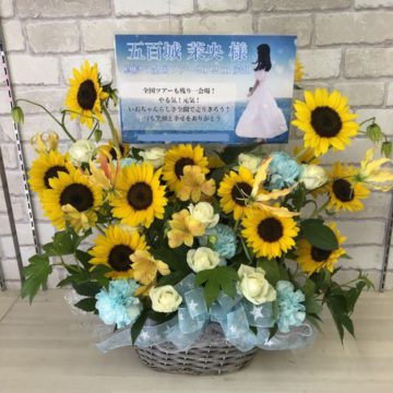 乃木坂46「真夏の全国ツアー2022：愛知公演」アレンジメント